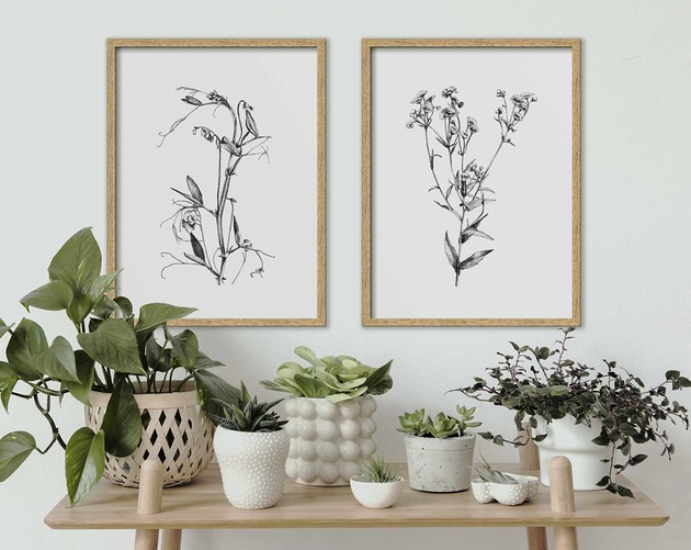 grafiki i ilustracje Zestaw dwóch grafik botanicznych 30x40