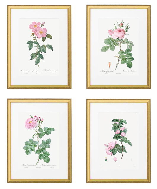 Różowe kwiaty - zestaw plakatów botanicznych White Rose Peonies 