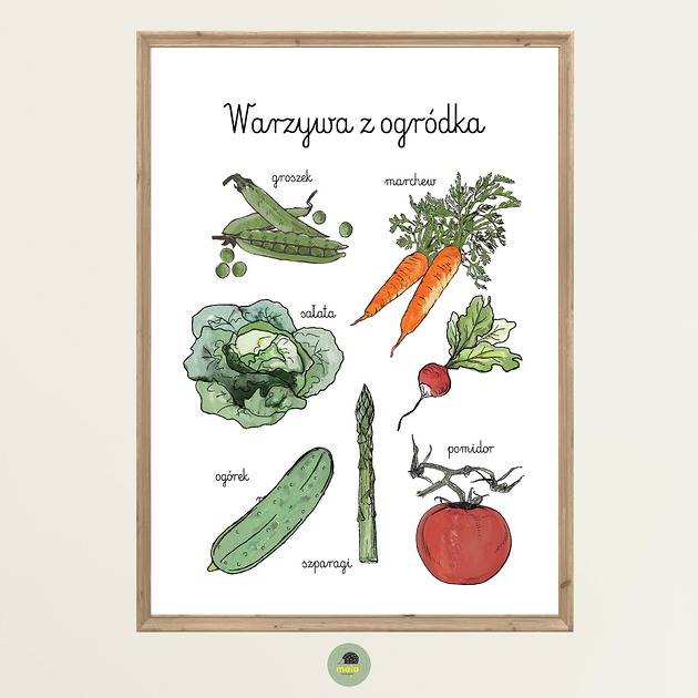 obrazy i plakaty do pokoju dziecięcego Plakat Edukacyjny Warzywa z ogródka Montessori dla dzieci