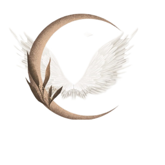 naklejki ścienne do pokoju dziecka Naklejki ścienne Moon Wings 100