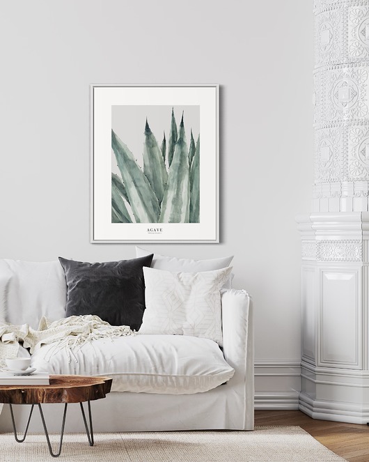 grafiki i ilustracje Agave / reprodukcja akwareli