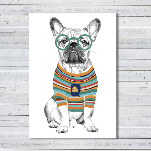 obrazy OBRAZ NA PŁÓTNIE -  50x70cm BULLDOG HIPSTER