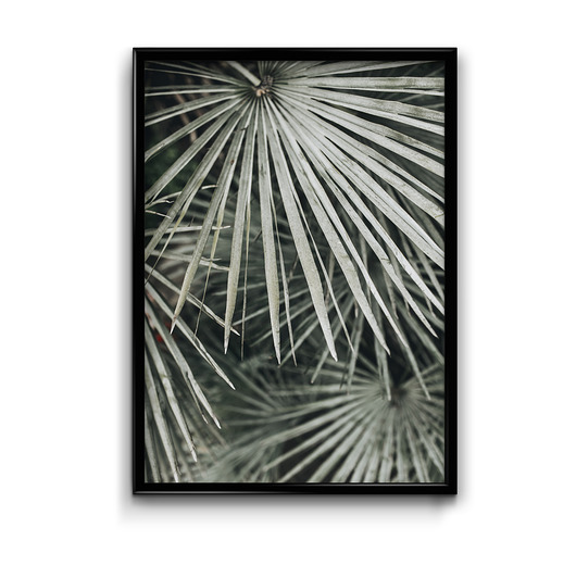 plakaty Plakat Botanic #3