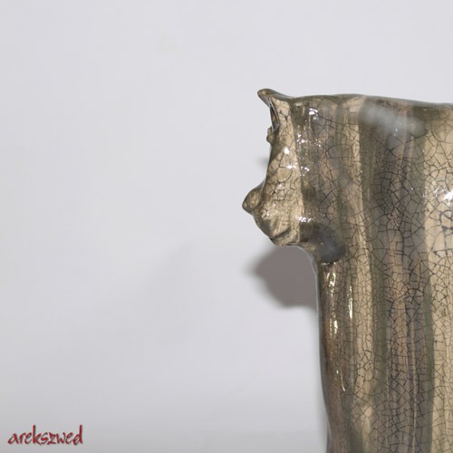 Bury Arek Szwed