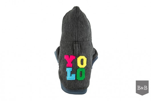 Bluza grafit YOLO S Bowl and Bone Republic
