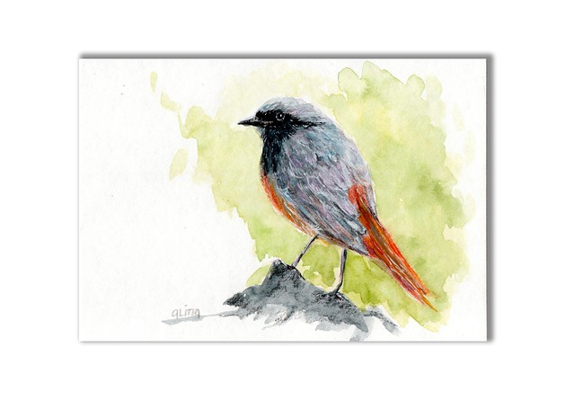 grafiki i ilustracje Akwarela ręcznie malowana "Ptak Kopciuszek"
