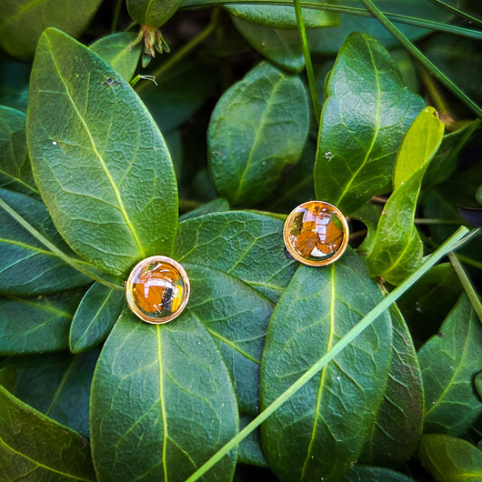 kolczyki - inne Kolczyki z tygrysim okiem