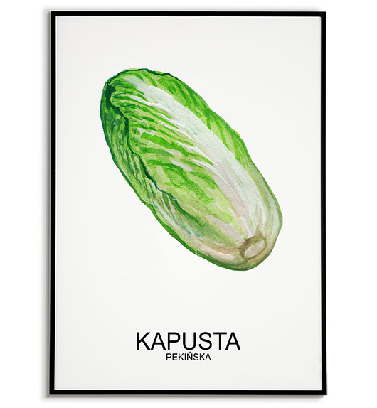 plakaty Plakat  GRAFIKA KAPUSTA PEKIŃSKA warzywa ZIOŁA