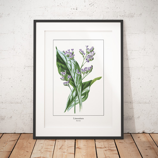 Plakat botaniczny Zatrwian trochę na ścianę