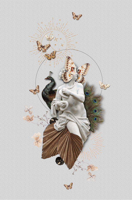 grafiki i ilustracje Plakat, kolaż Moth & Butterflies