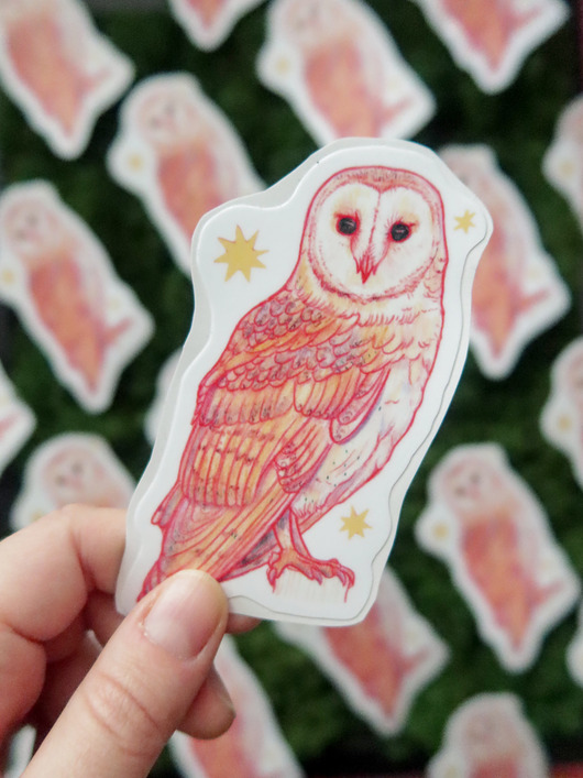 naklejki i wlepy Płomykówka / naklejka winylowa