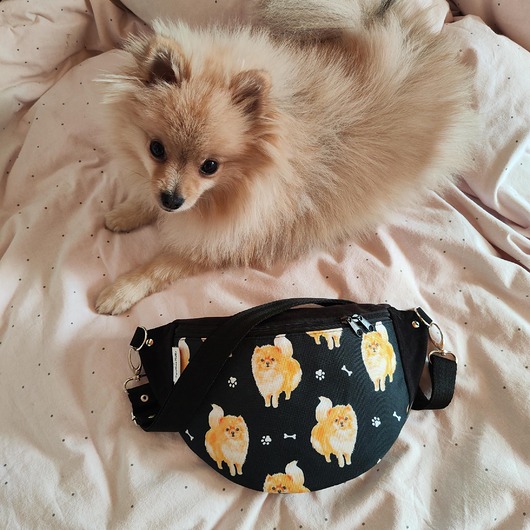 saszetka nerka Nerka szpic miniaturowy