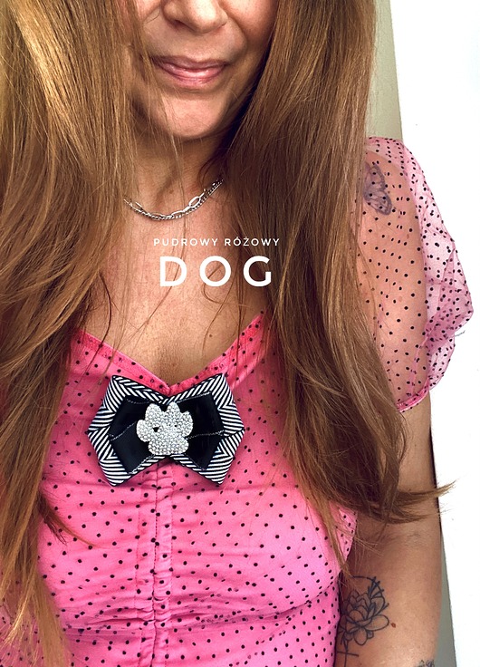 broszki Kolekcja DOG Brosza z łapką wysadzaną kryształkami New