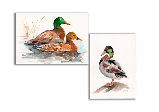 grafiki i ilustracje Akwarela ręcznie malowana "Kaczki" zestaw 2 szt