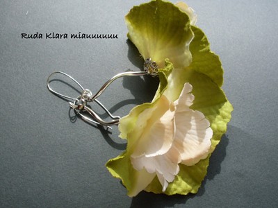 żaba w stawie kuma o co chodzi ruda klara