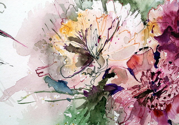 obrazy Peonie  /akwarela
