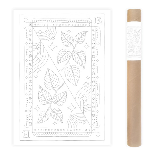 plakaty Plakat do Kolorowania Roślina Doniczkowa Epipremnum 50x70cm