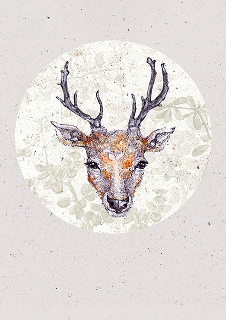 deer BOSKE