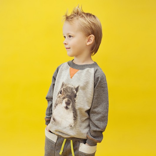Bluza Reglan Squirrel  WataCukrowa