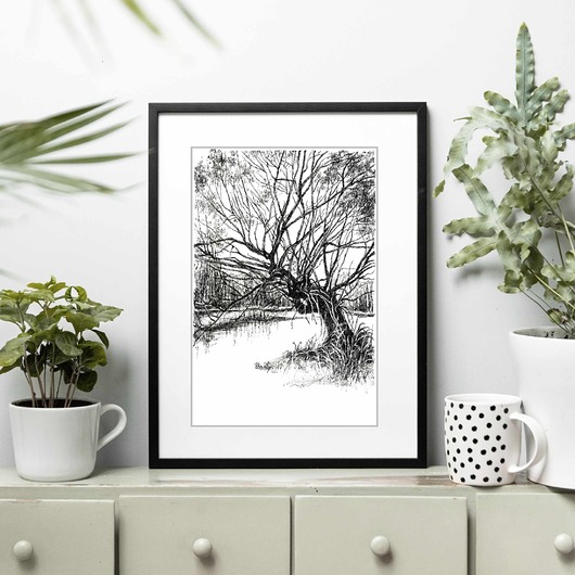 grafiki i ilustracje Wierzba 30x40