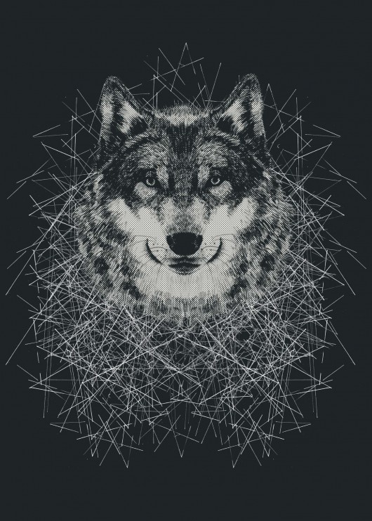 wild wolf  Tiri riri