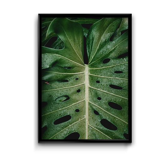 Plakat Macro  Bury Lis
