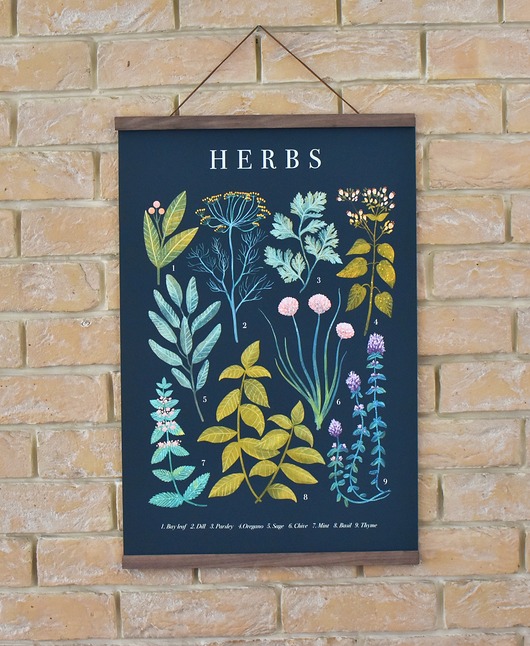 Plakat botaniczny "Herbs" Studio Stonka