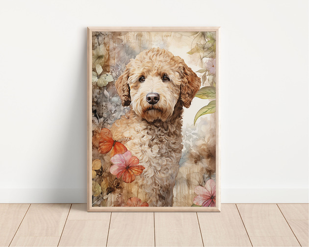 plakaty Plakat lagotto romagnolo