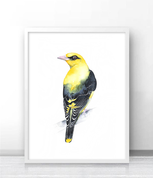Wilga - Glicee Print, ptaki Karolina Kijak