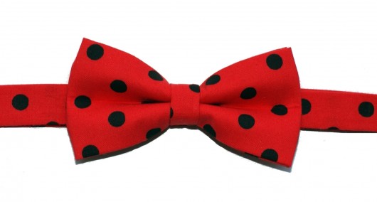 Mucha gotowa bowstyle czerwona w grochy bowstyle
