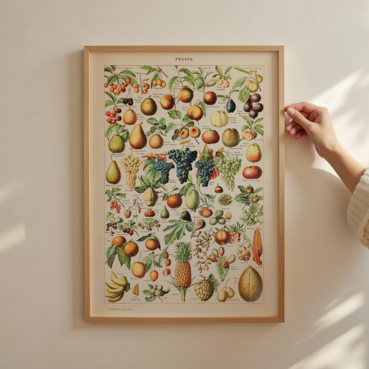 grafiki i ilustracje Grafika Fruits (reprint)