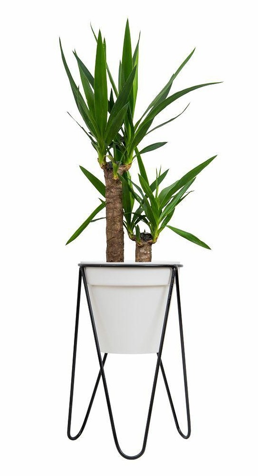 Kwietnik Stojący Loft 50 cm Czarny MIA home