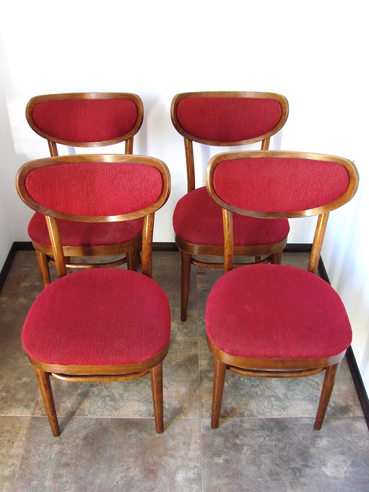krzesła Komplet 4 krzeseł typ Thonet , Polska lata 60