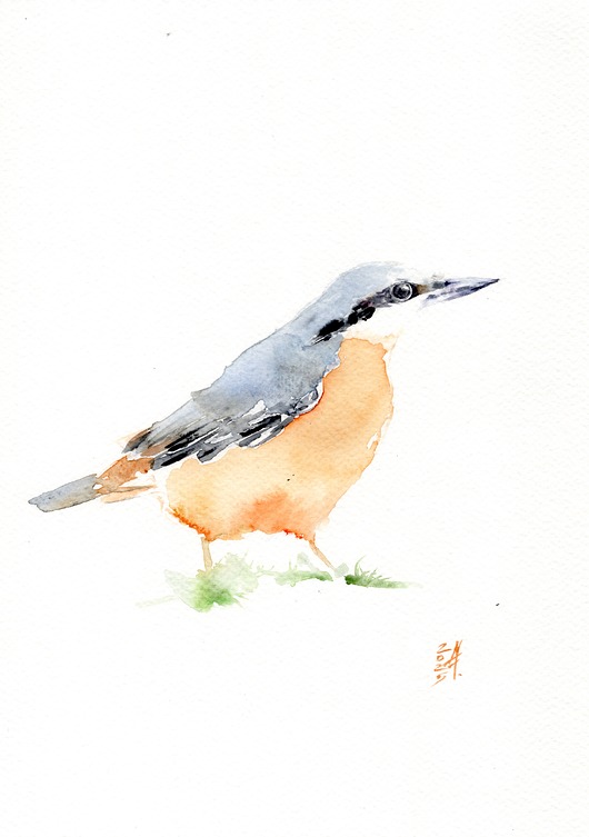 obrazy Oryginalna akwarela. Kowalik