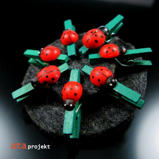 Wielkie Pranie Biedronek ata projekt
