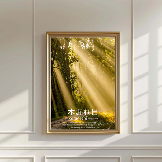 fotografia PLAKAT Komorebi japoński natura fotografia las