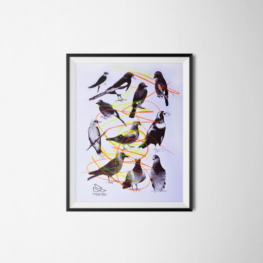 Ptaki. Serigrafia barwna. Warsaw Birds