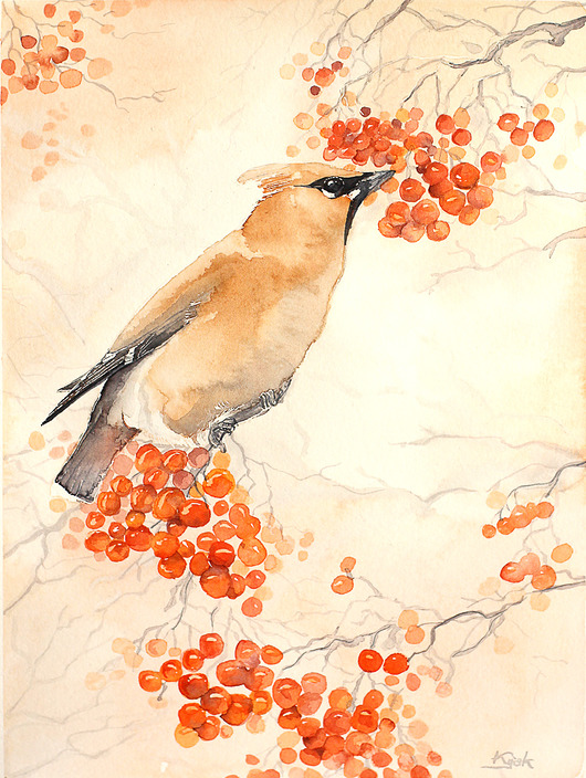 Jemiołuszka - plakat, reprodukcja 30x40cm Karolina Kijak
