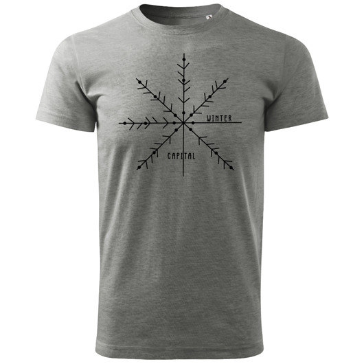 t-shirty męskie Tatra Art - Zakopane zimowa stolica Polski