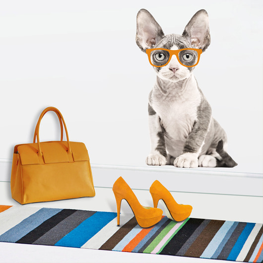 DEVON REX W OKULARACH naklejka na ścianę Dekoracjan