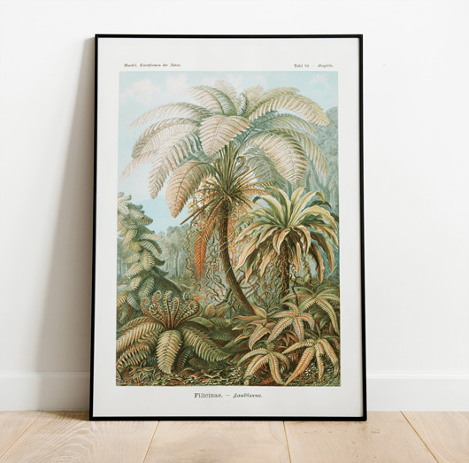 plakaty Plakat JUNGLE vintage