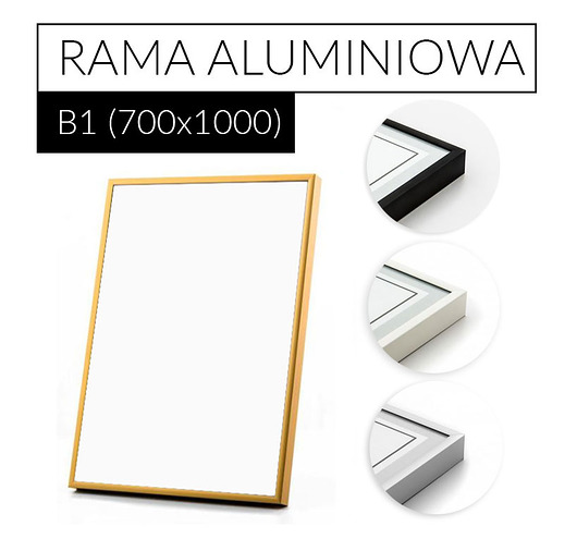 Rama aluminiowa do plakatu B1 kolory PLAKATY GEOMETRYCZNE