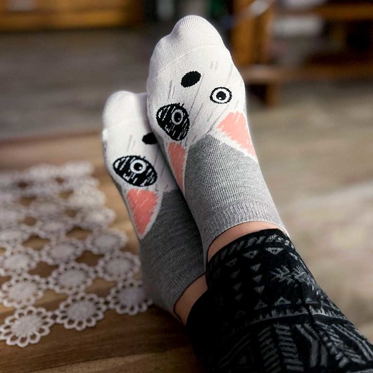 Skarpetki z pieskiem - szare CandySox