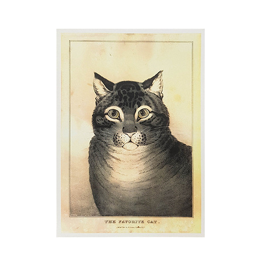 Kartka pocztowa - Favourite cat Galeria LueLue