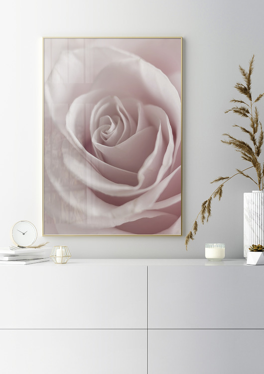 plakaty Plakat z delikatną różą