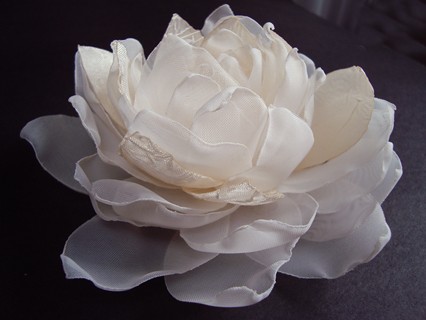 BEZZA SundayRose