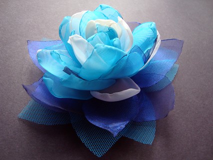 NACERI SundayRose