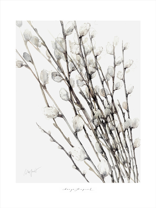 plakaty Bazie print 50x70 cm