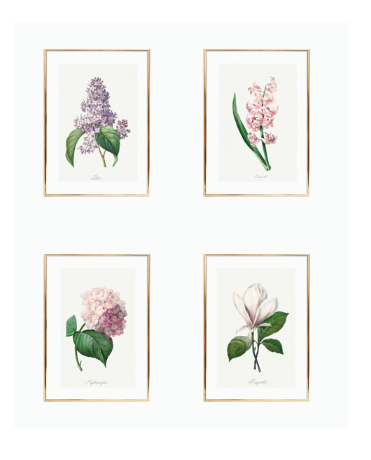 grafiki i ilustracje ZESTAW 4 PLAKATÓW vintage botaniczne kwiaty