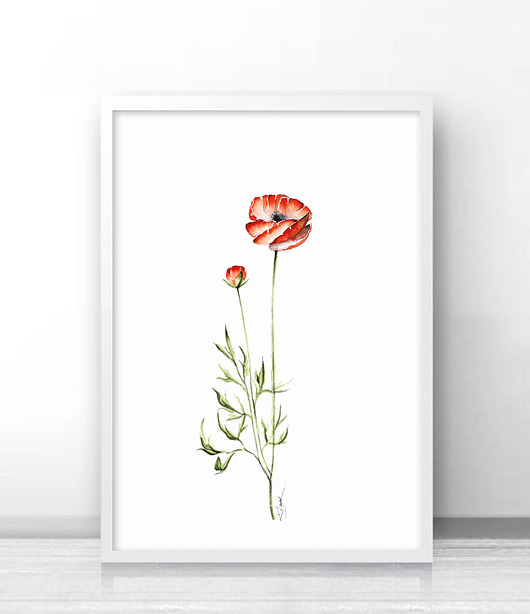 Maki polne- plakat autorski Karolina Kijak